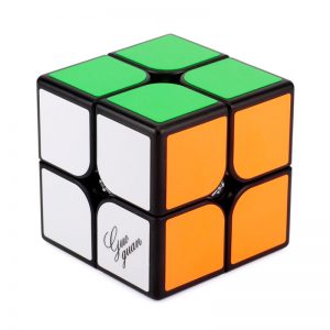 GuoGuan 2x2